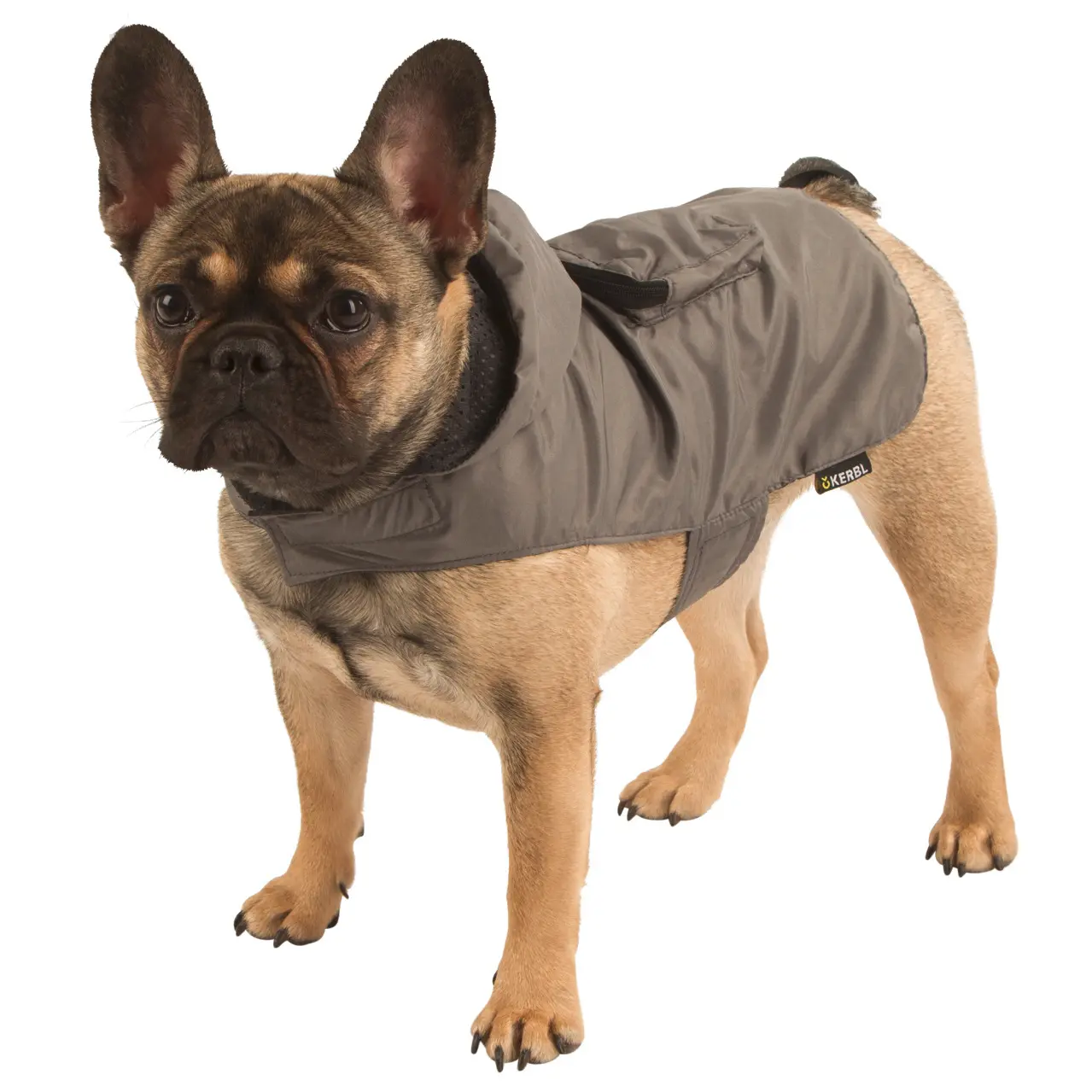 Chubasquero para perros Seattle