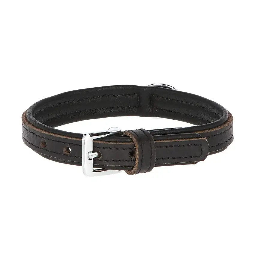 Collar para perro Vegas