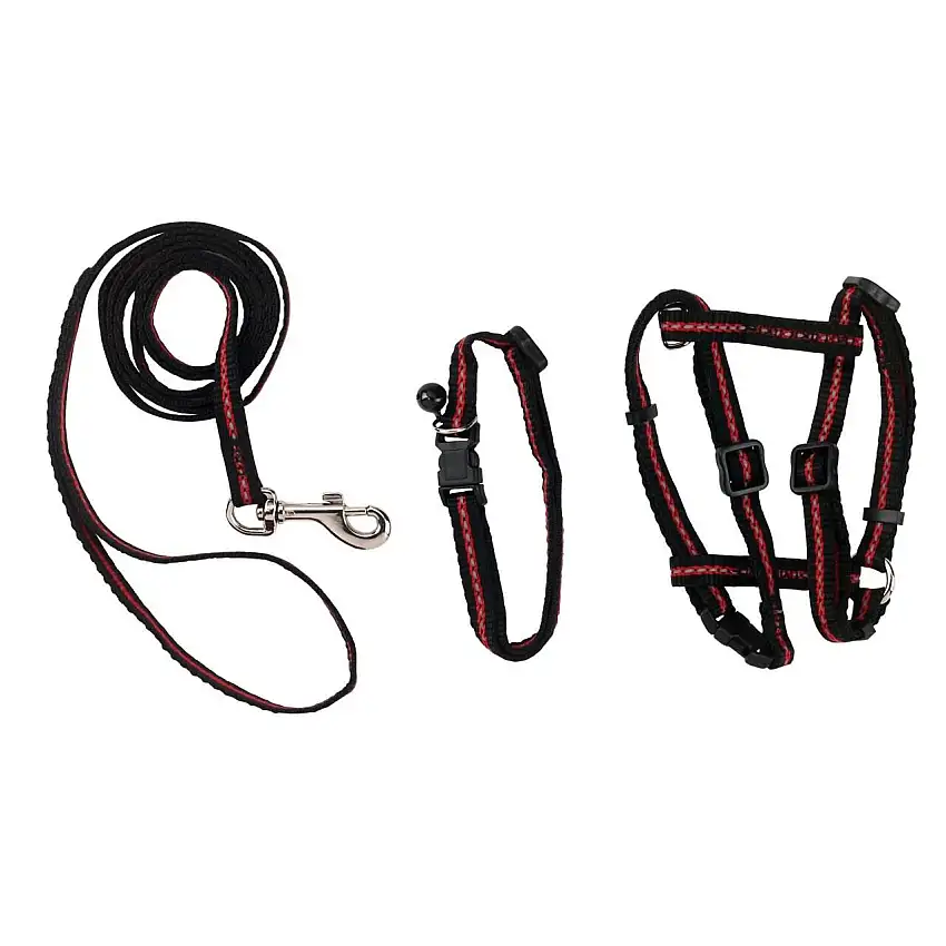 Arnés/correa/collar para gatos (x1)