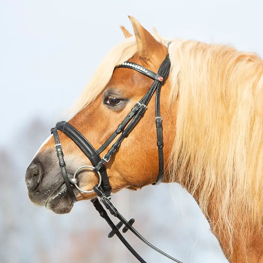 Kieffer Brida Ultrasoft Haflinger Negro/Blancas Piedras