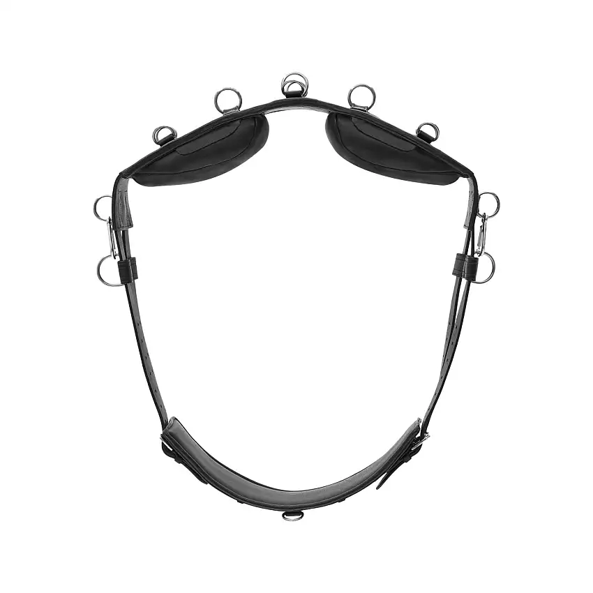Sursangle Equishape Pro