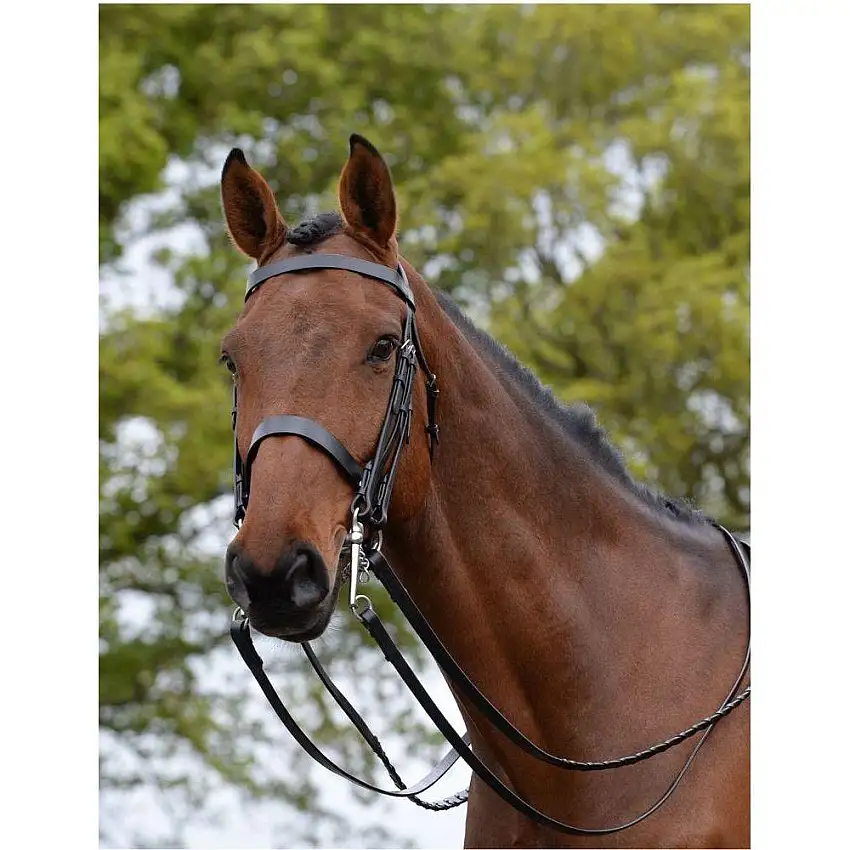 Cabezada para caballos Weymouth II