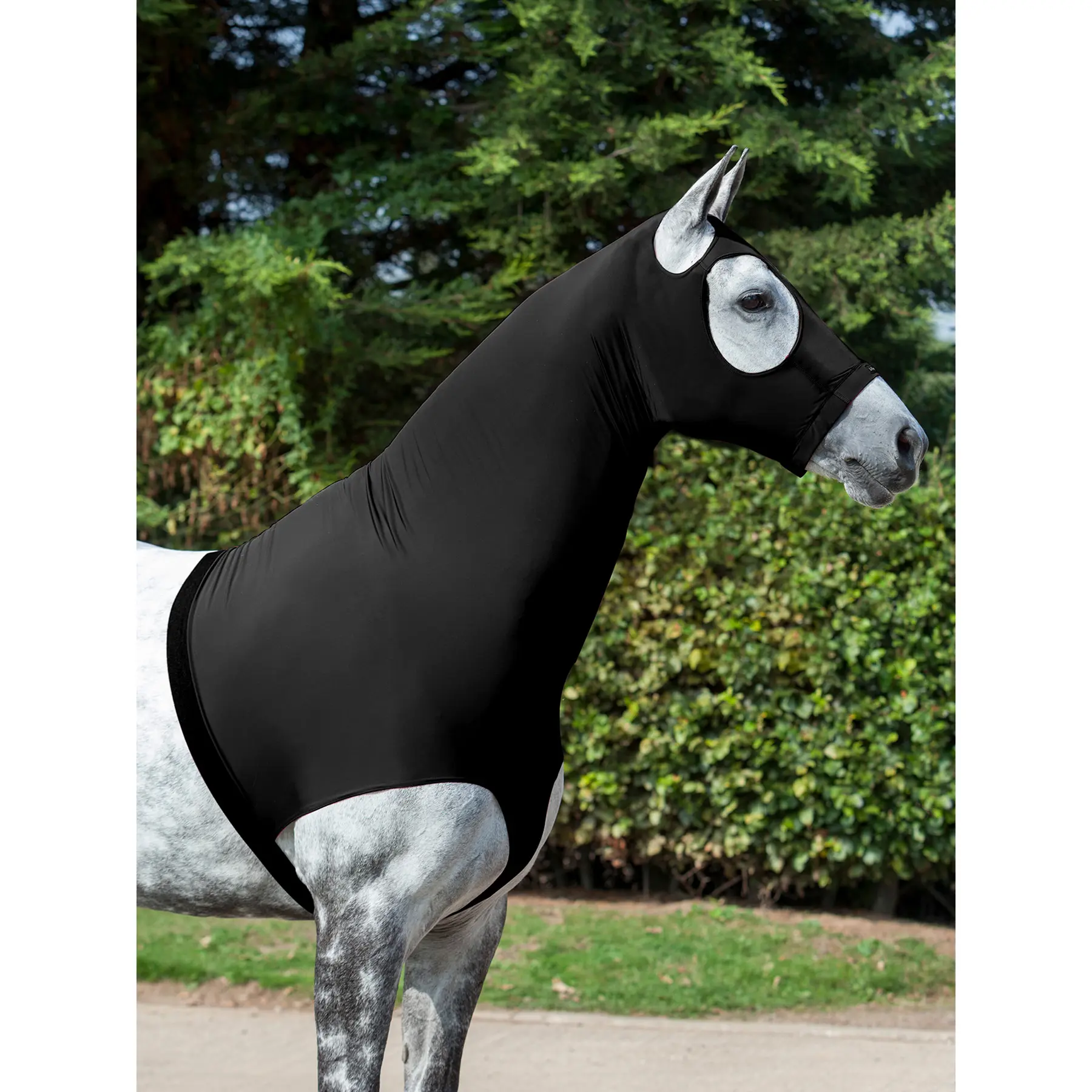 Gorro elástico para caballos