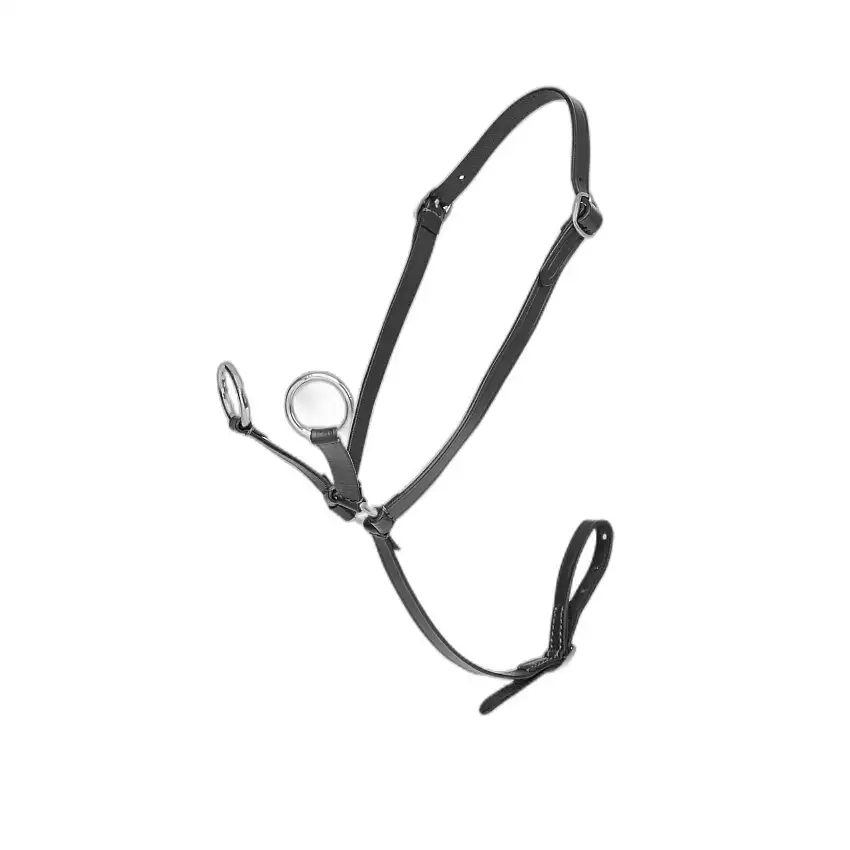 Pony martingale