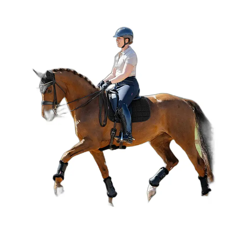 Mantilla para caballos Square Self-Cool 3D