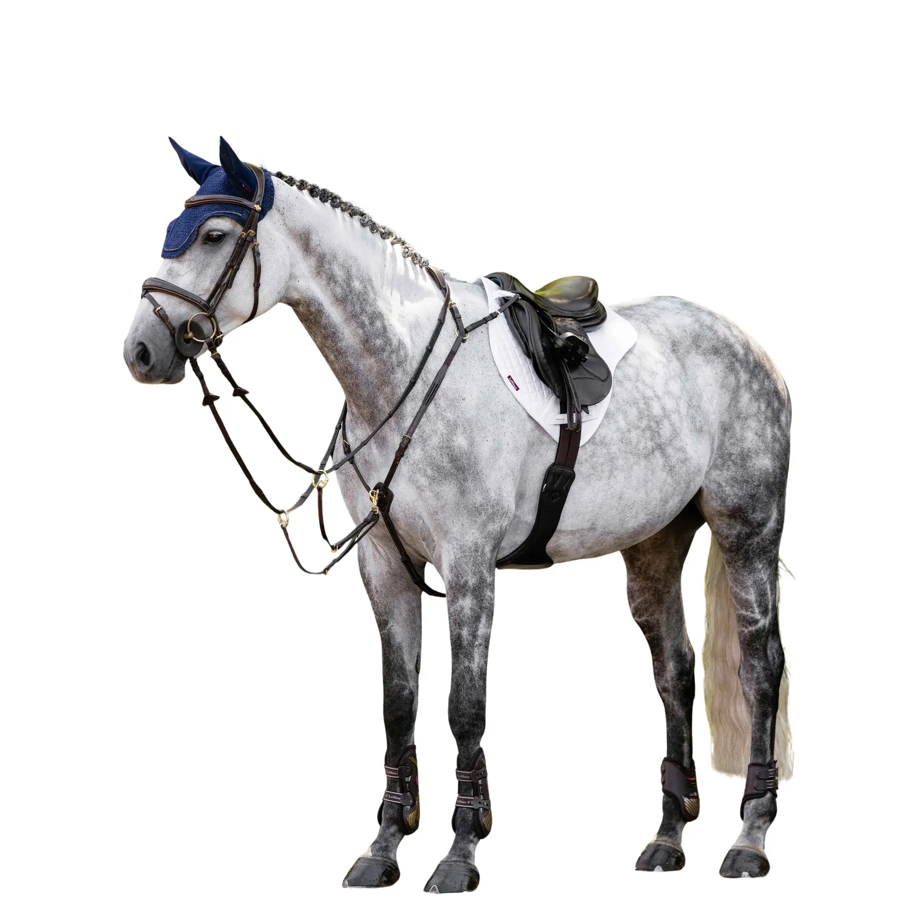 Amortiguador de caballo Close Contact