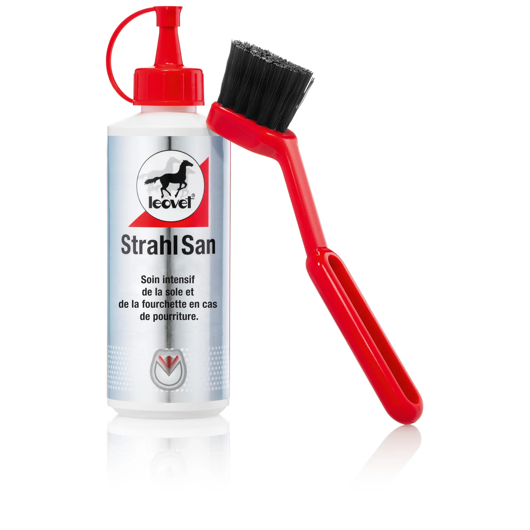 Cuidado de los cascos de los caballos StrahlSan