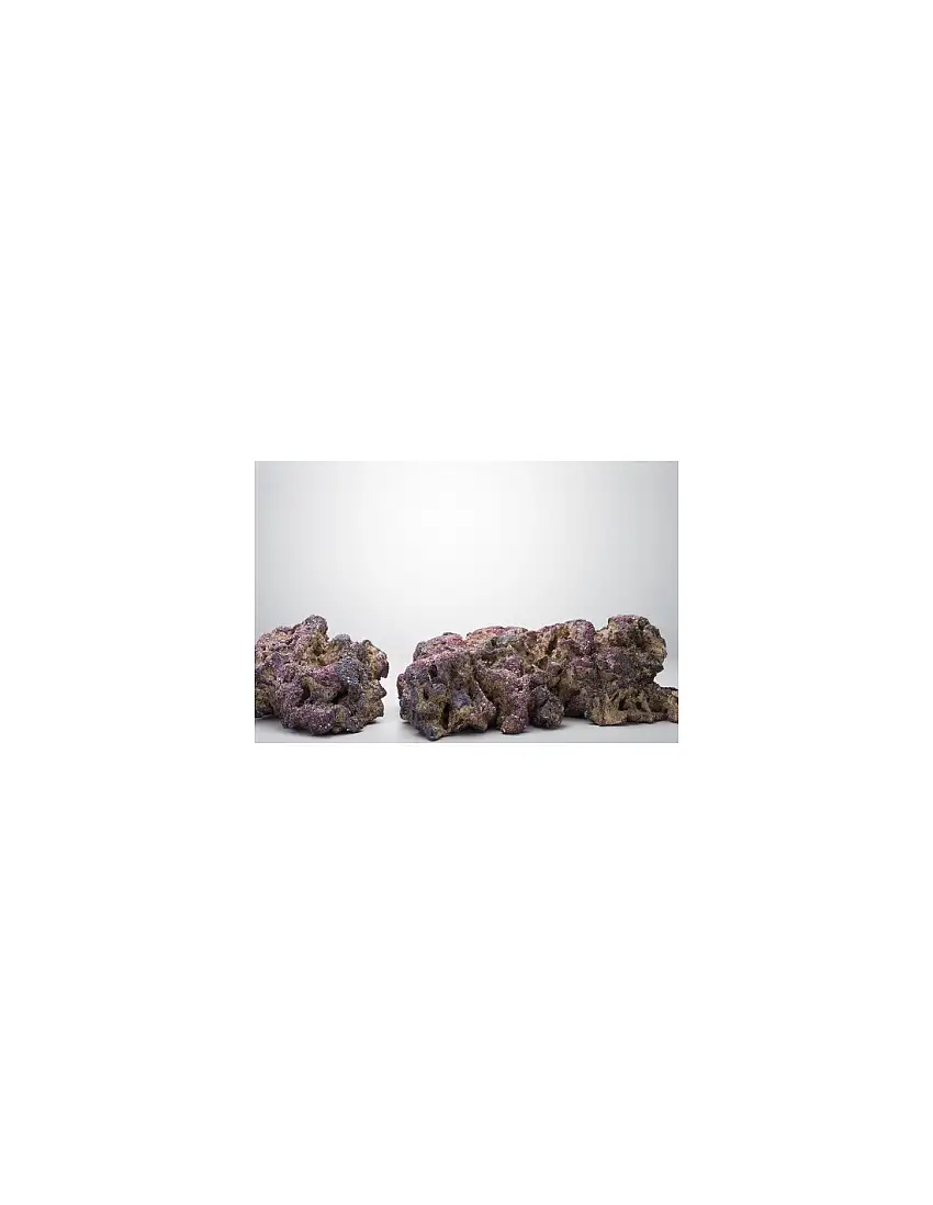 Life Rock Shelf