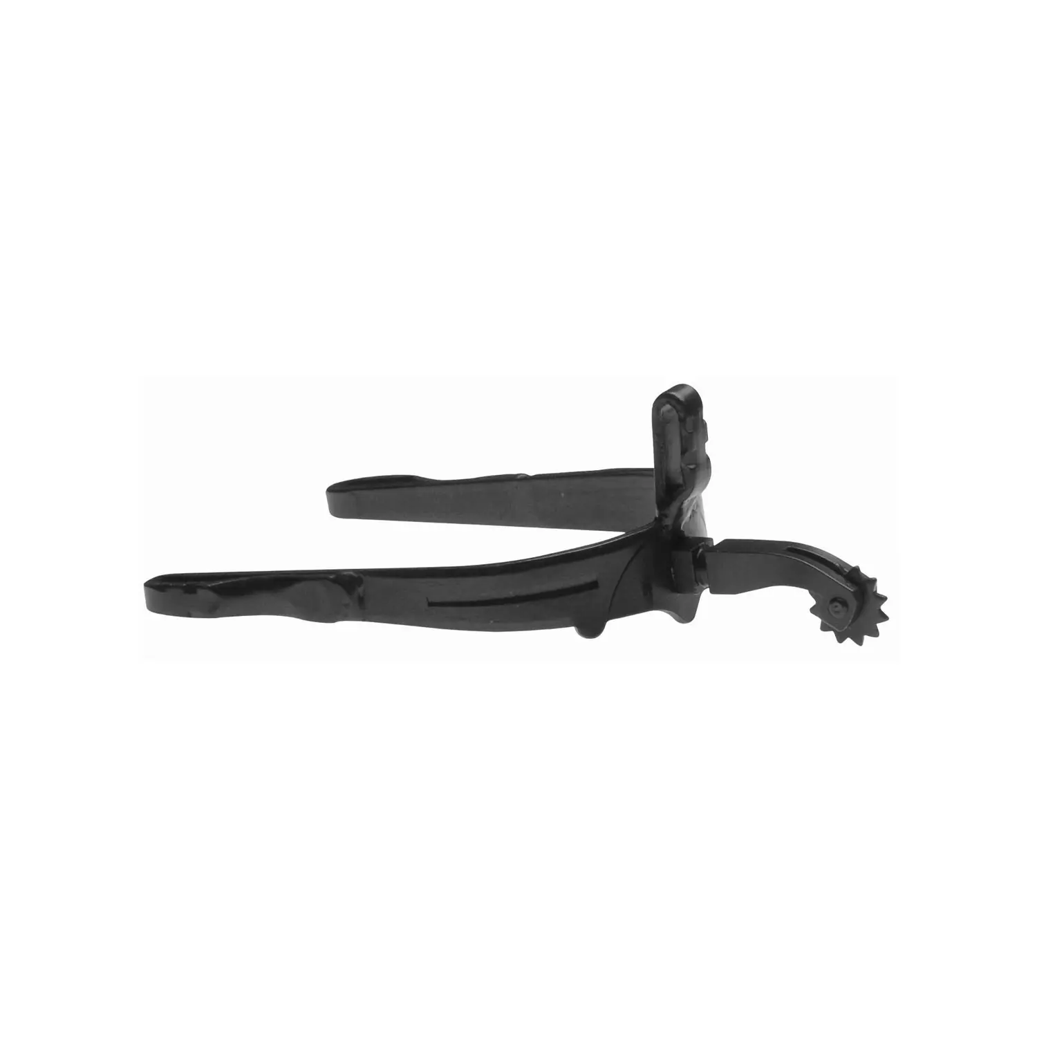 Espuelas para caballo español con rowel