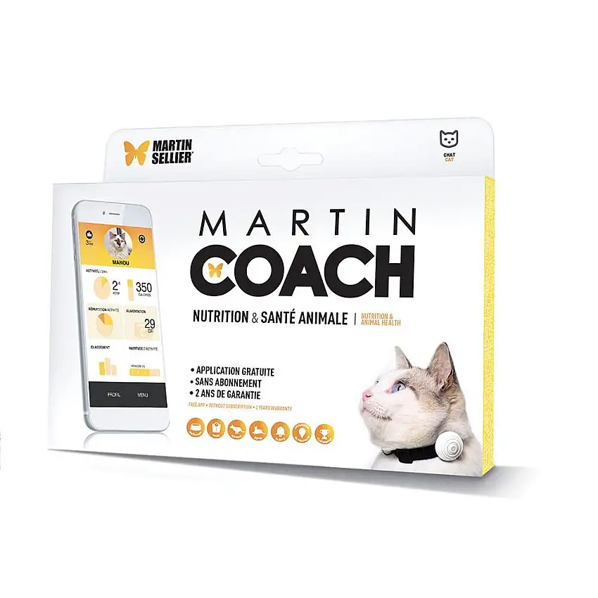 Arnés para gatos Coach