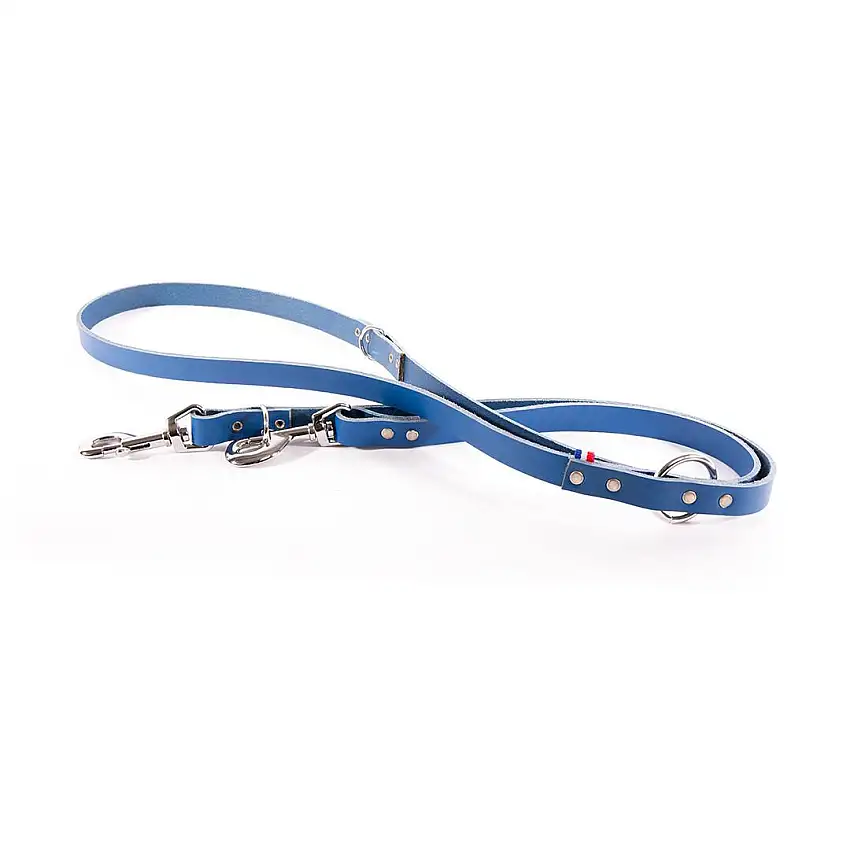 Correa para perro de cuero multicolor 499