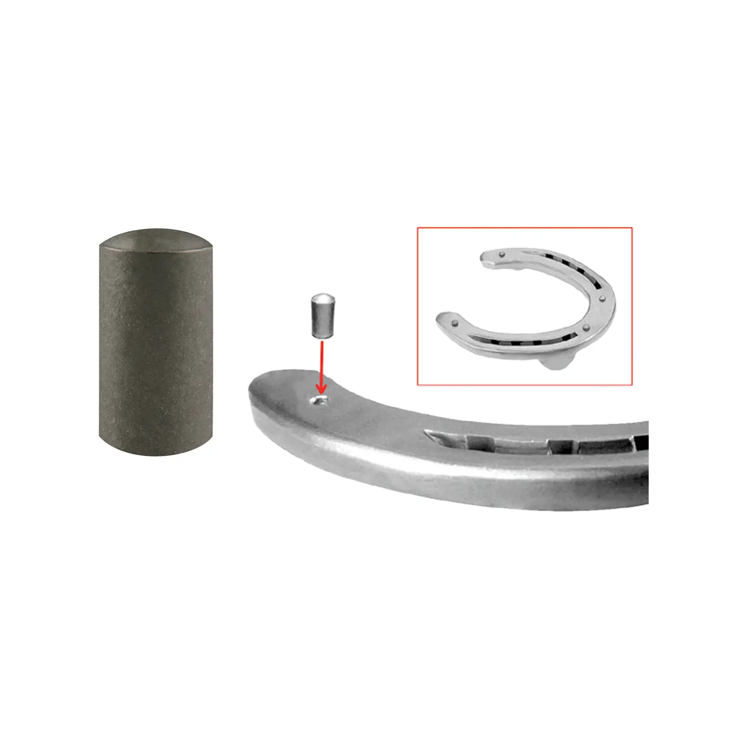 Punta de tungsteno antideslizante para caballo CW0