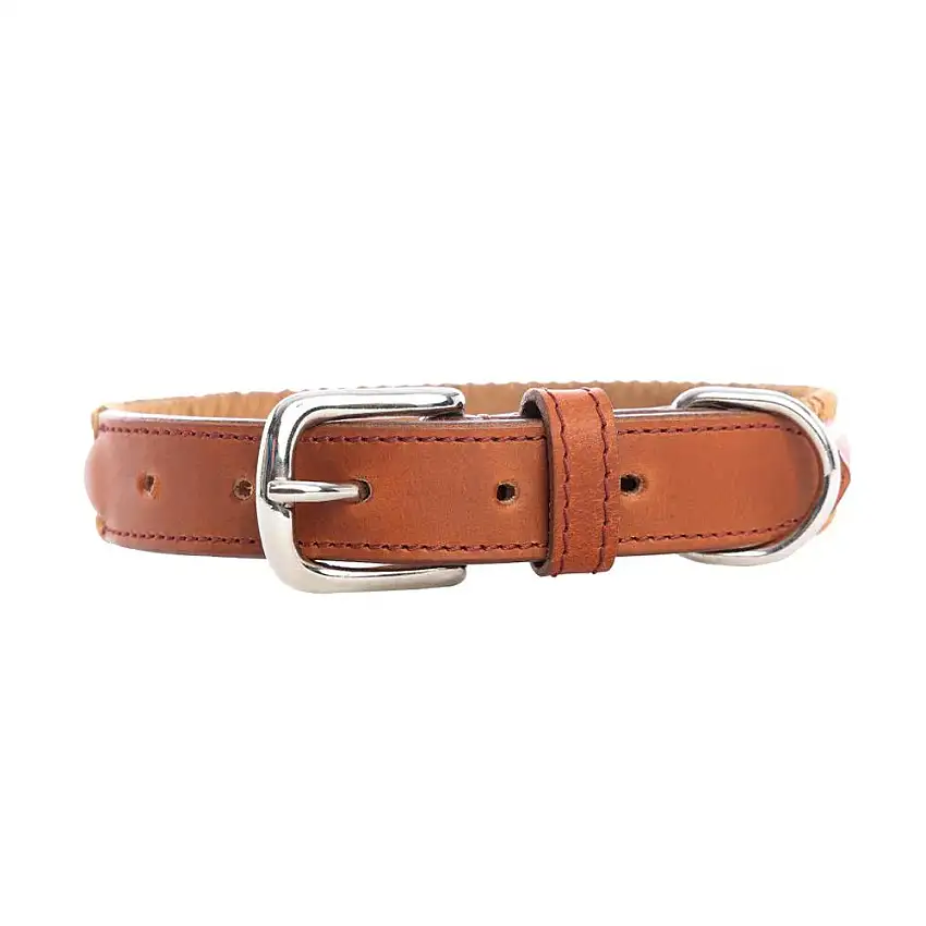 Collar para perro Rio Correr
