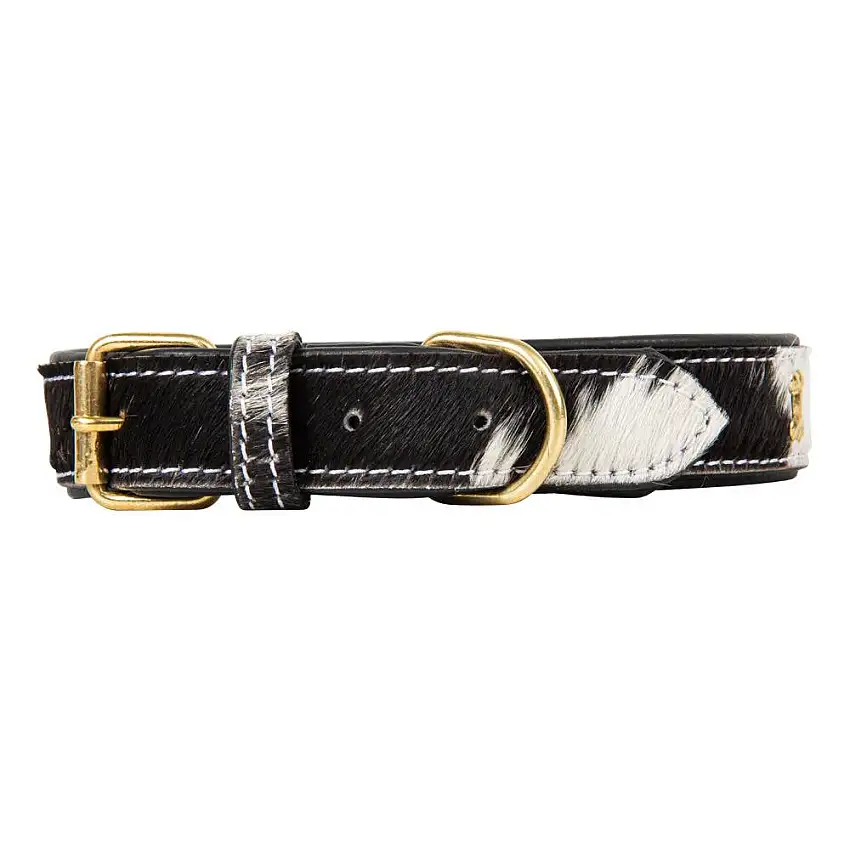 Collar para perro Monterey