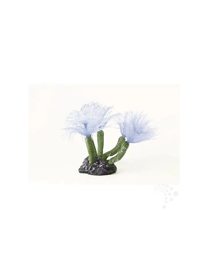 Natureform Coral Feather Duster Blue Bispira sp.