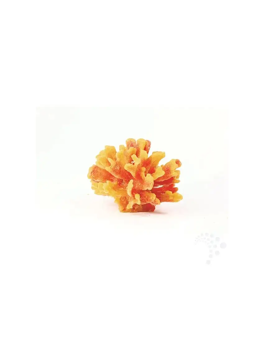 Natureform Coral Thorn Yellow/Red Stylophora sp.