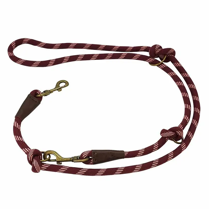 Correa para perros Sporty