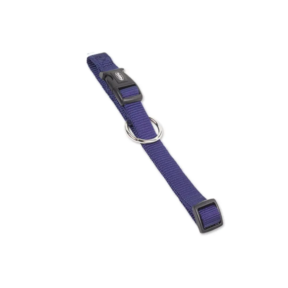 Collar para perro Classic