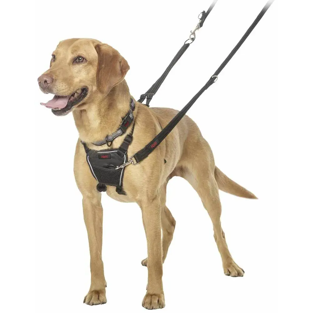 Arnés para perro mediano Halti No-Pull