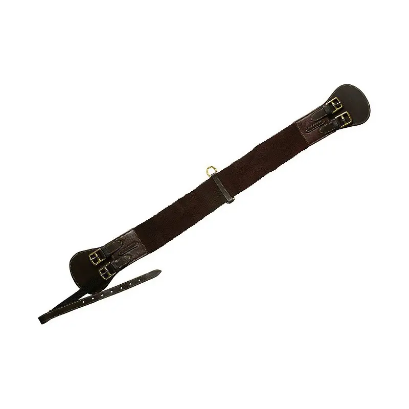 Correa para caballo Stock