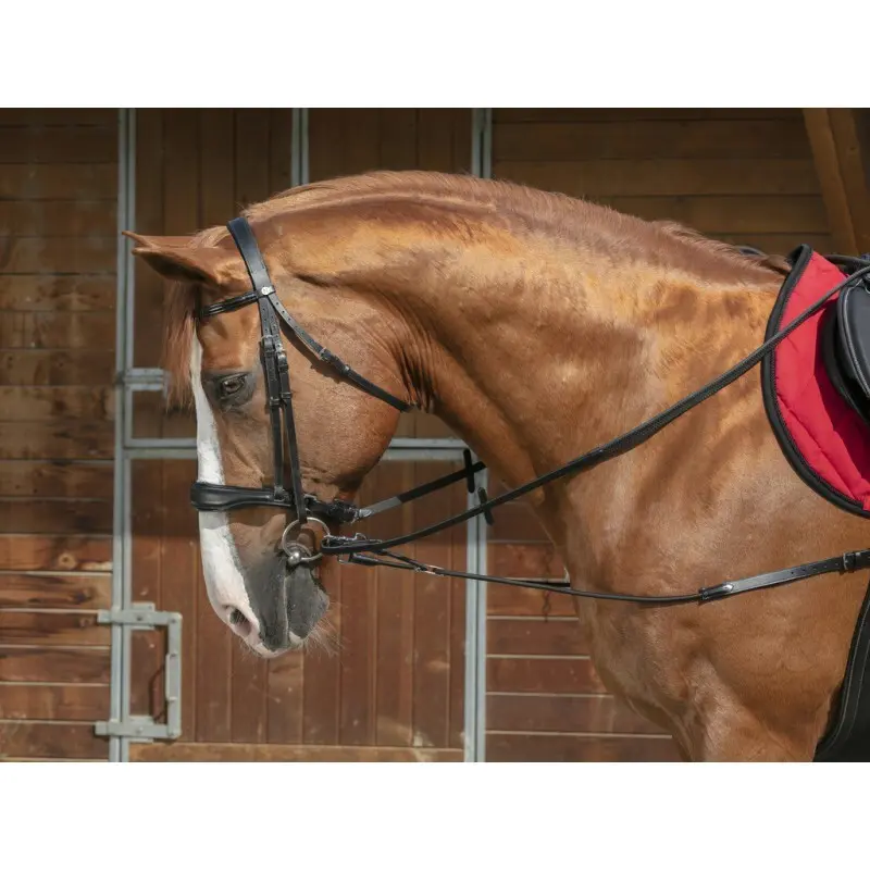 Manta corta elástica para caballos