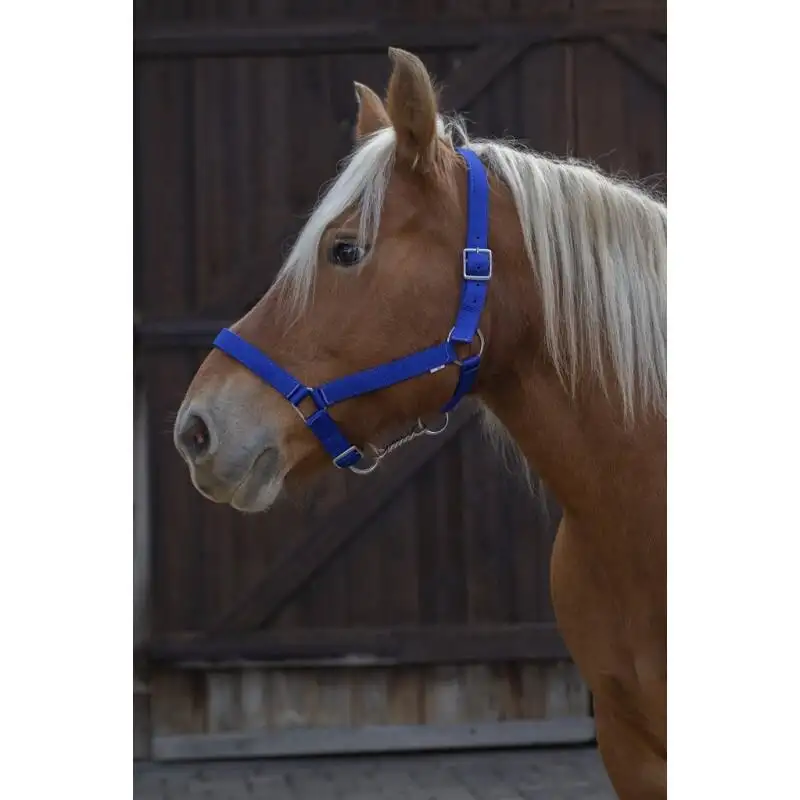 Cabezada para caballos de tiro