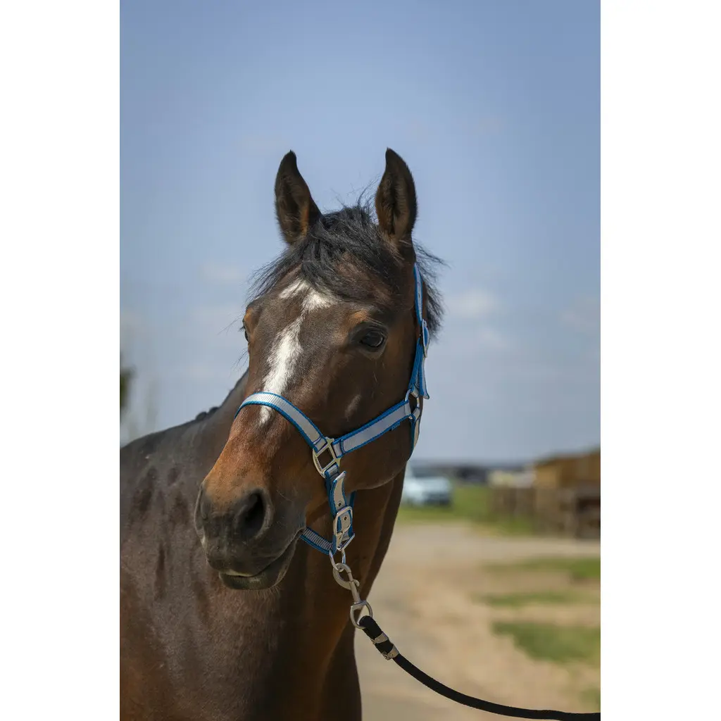 Cabestro de nylon suave para caballos