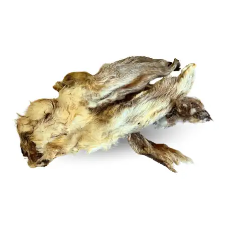BVS Vet Shop Oreja de Conejo con Pelo para Perros