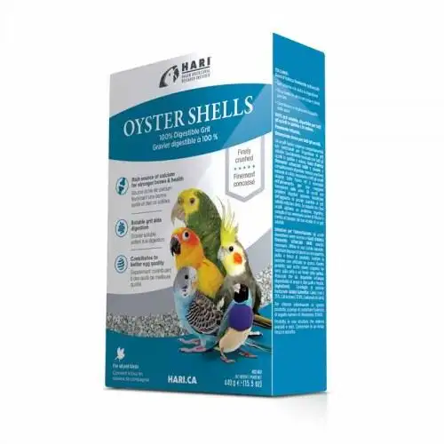 Hari Oyster Shells (Conchas)