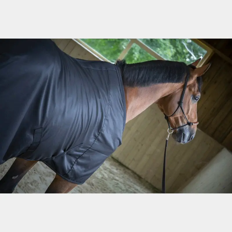 Camisa de caballo Light Mesh
