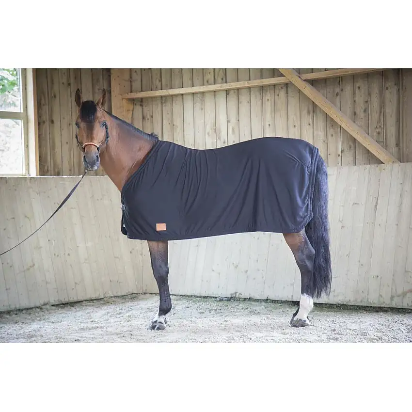 Secar la camisa del caballo