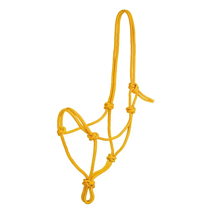 Cabezada de caballo con nudo