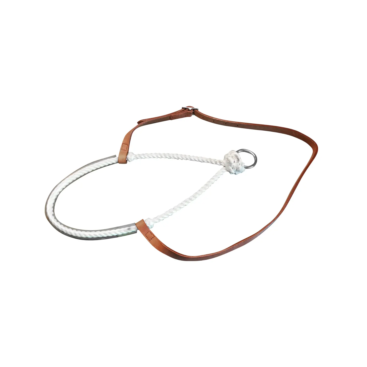 Muserola para caballo con anillo
