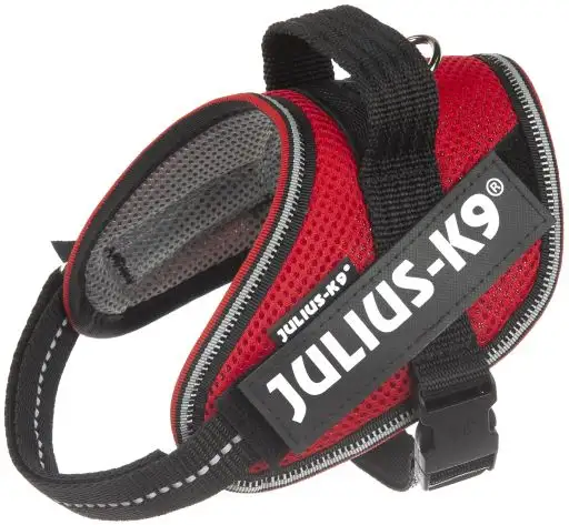 Julius K9 Arnés Powair de Verano Rojo para Perros