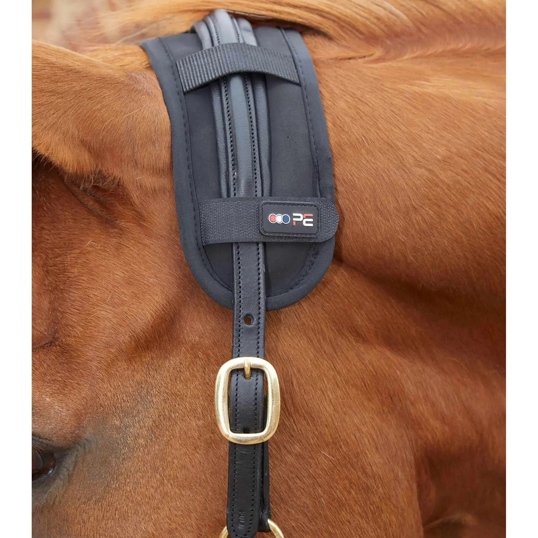Protector de cuello magnético para caballos Magni-Teque