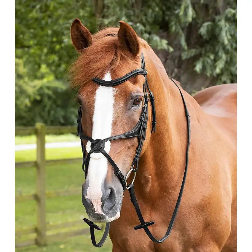 Reno de goma Diego Pony 50