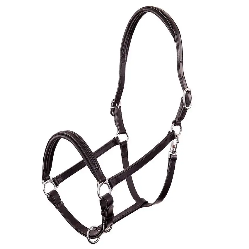 Cabezada Cuadra de charol para caballos Equitation Florennes