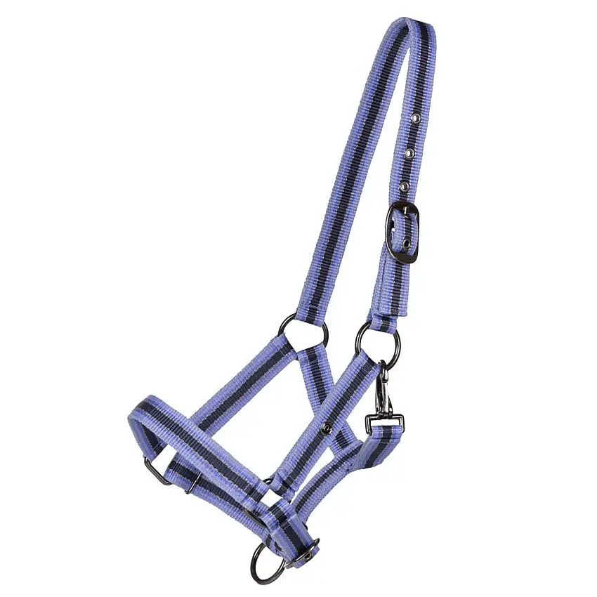 Cabezada de potro colección para caballo