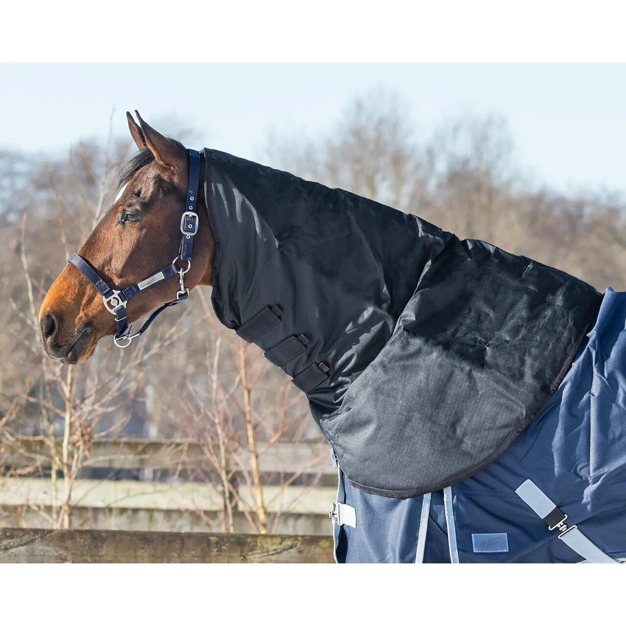 Cubrecuello de caballo impermeable 200g