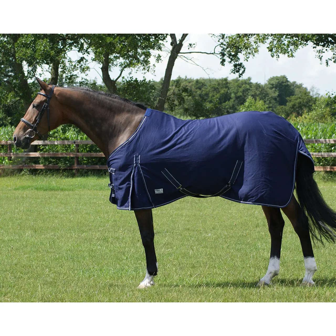 Camisa de caballo de algodón