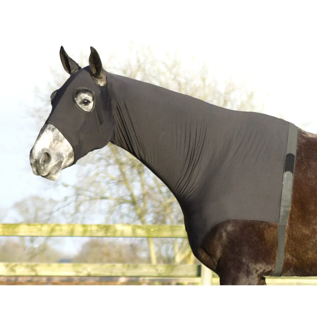 Cubresomos para caballo de elastano