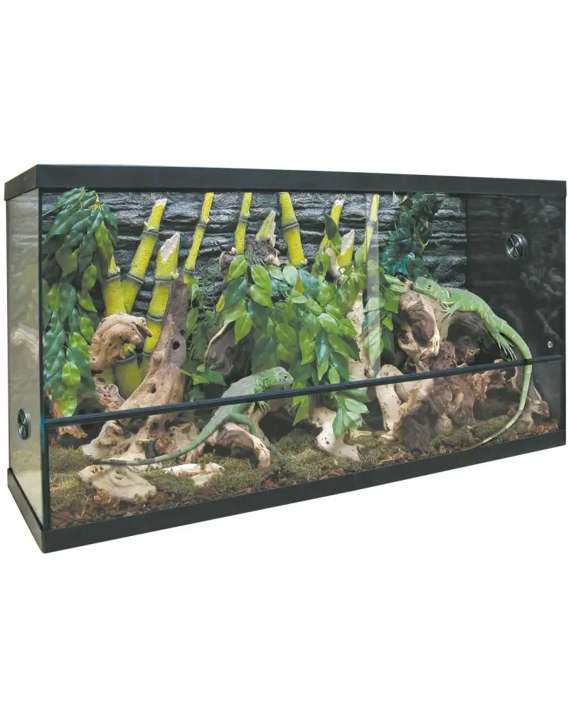 Repti Selva kit terrario 100 litros