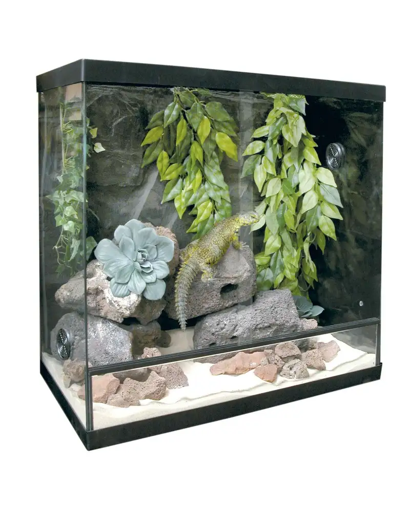 Repti Selva kit terrario 60 litros