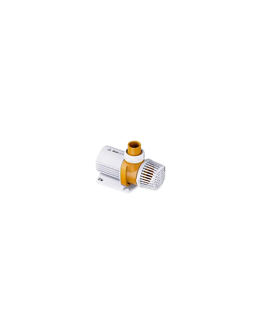 RF, Base Pump 8000