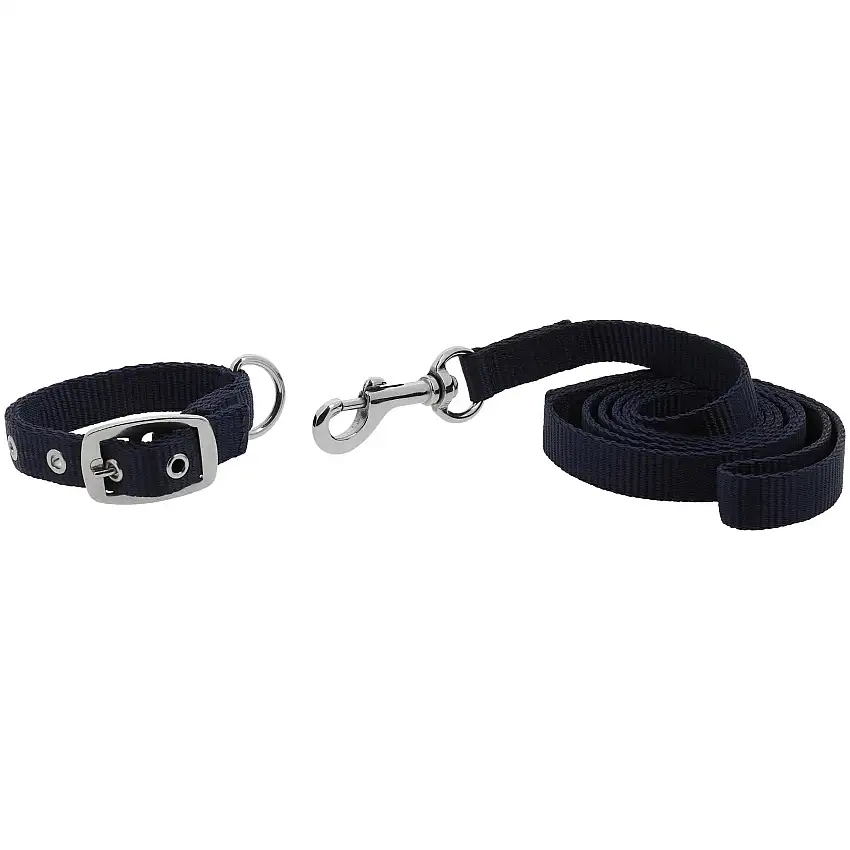 Collar y correa para perro Oscar