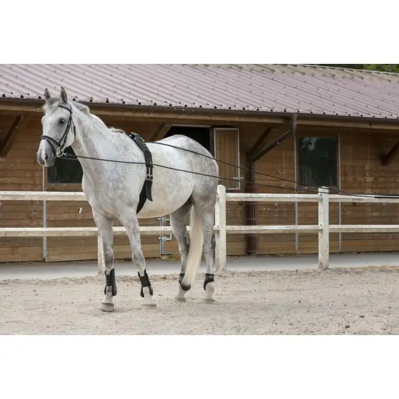 Cuerda de cuero para caballos