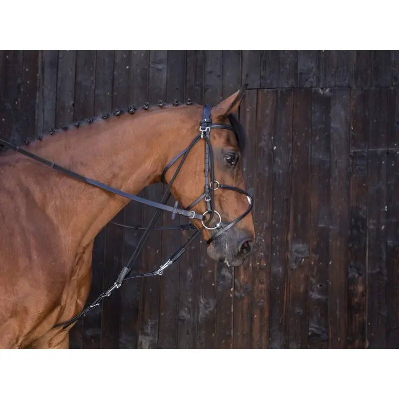 Gogue para caballo