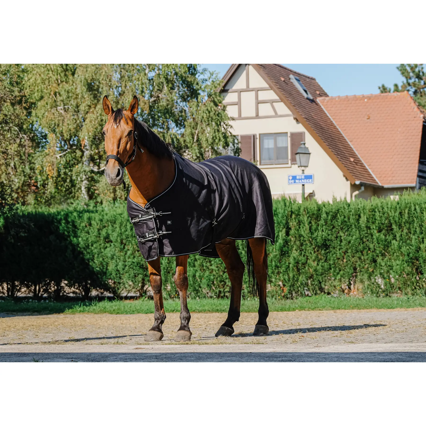 Manta para caballo brillante