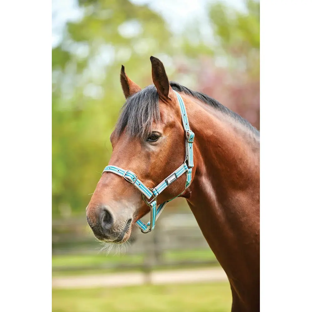 Cabestro para caballos Stripe
