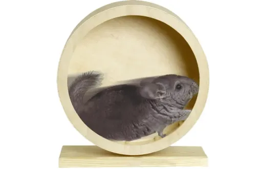 Karlie Flamingo Rueda de Madera Grande Wonderland para Ratas y Chinchillas